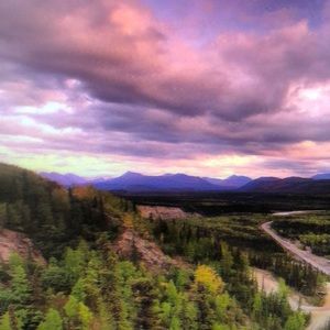 Meet your Posher, Freda